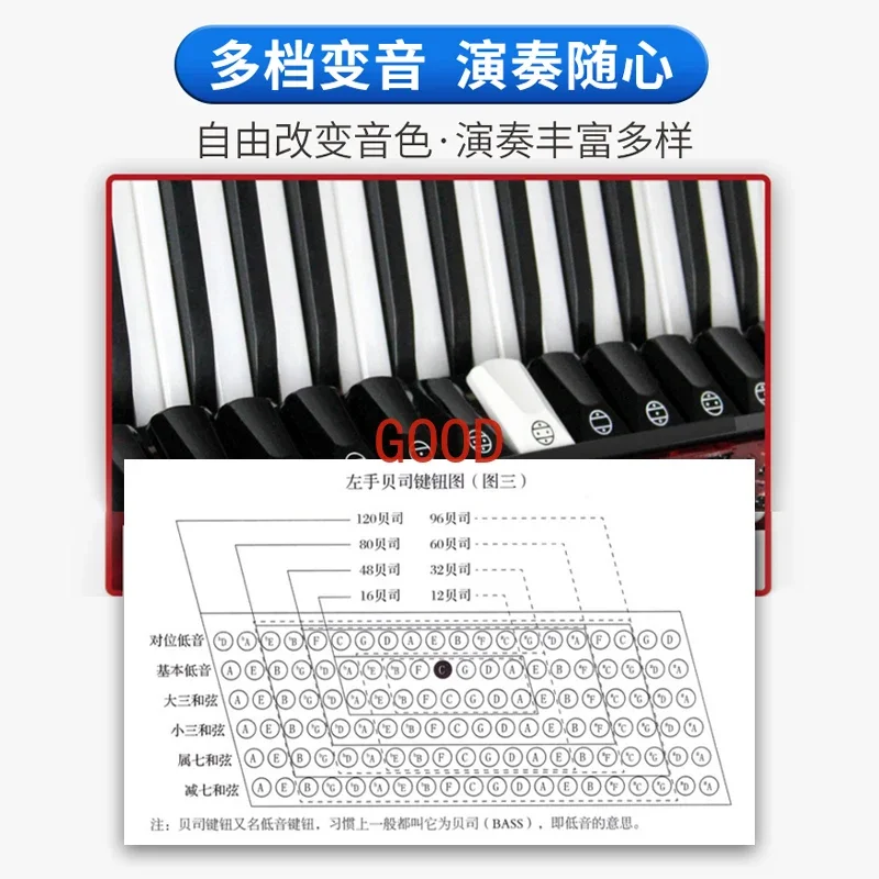 파럿 브랜드 바얀 아코디언 악기 전문가용 성인 및 어린 - Musical Instrument Brands 리뷰 및 가격