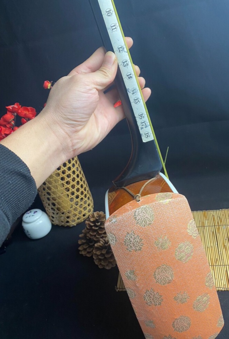 자이언트(삼현) 일본 전통 3현 악기, 수집용, 공연용 - Musical Instrument In Japanese 리뷰 및 가격
