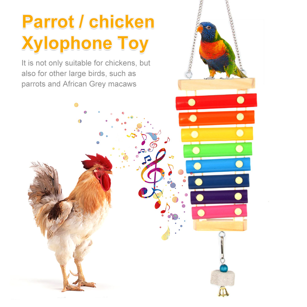새 치킨 실로폰 장난감 나무 Suspensible 새장 - Musical Instrument Harmonium 리뷰 및 가격