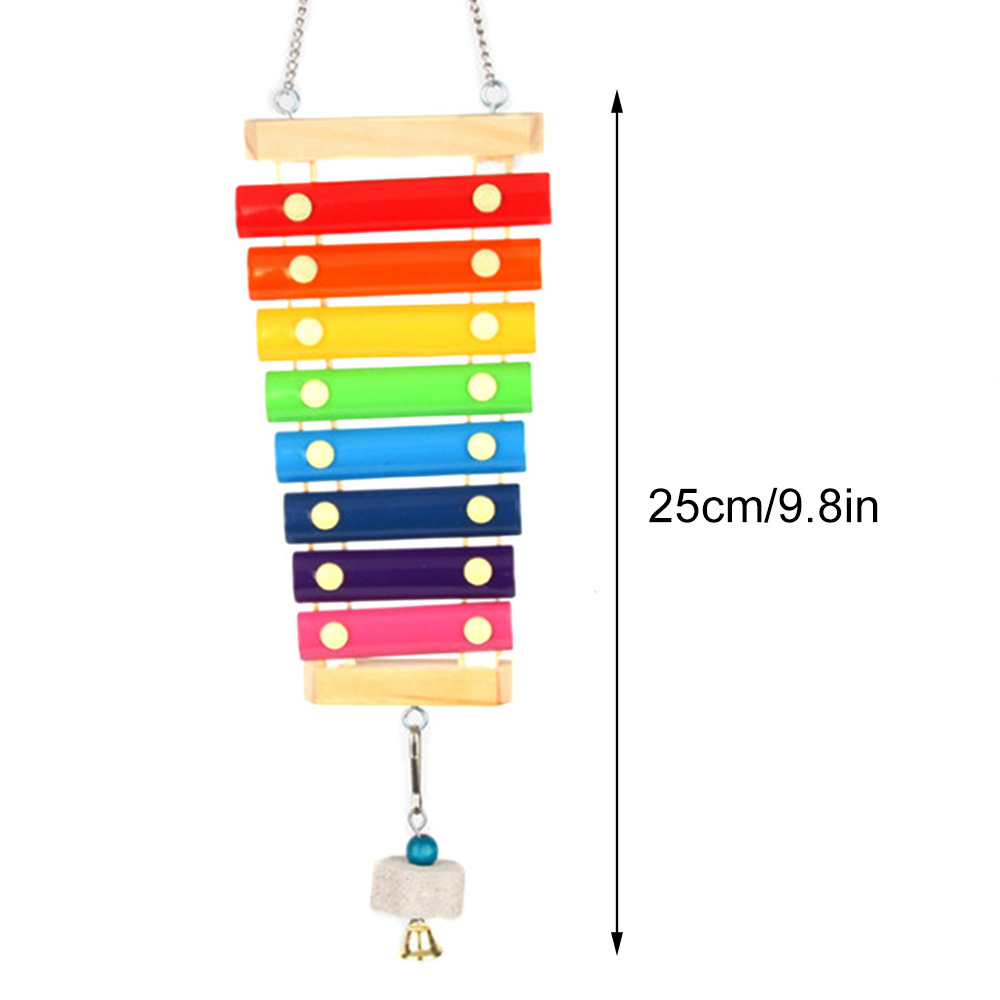 새 치킨 실로폰 장난감 나무 Suspensible 새장 - Musical Instrument Harmonium 리뷰 및 가격