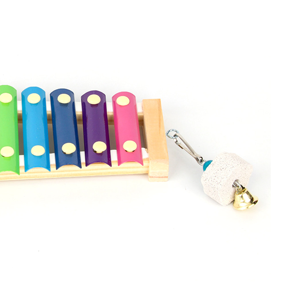 새 치킨 실로폰 장난감 나무 Suspensible 새장 - Musical Instrument Harmonium 리뷰 및 가격