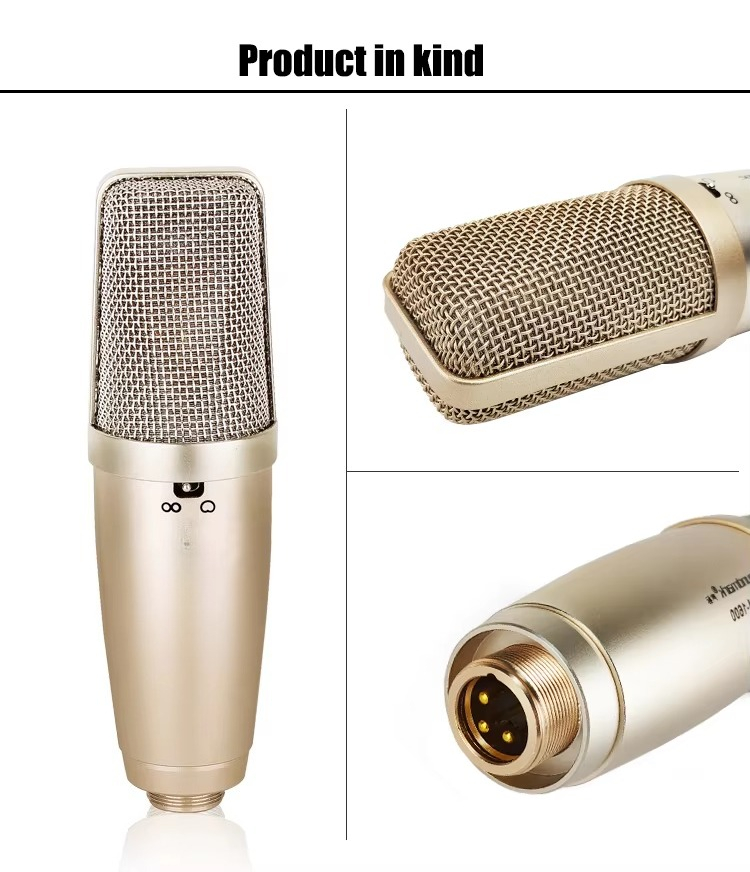 브랜드 뉴 키즈 마이크 스탠드 포함 노래방 음악 악기  - Musical Instrument Brands 리뷰 및 가격