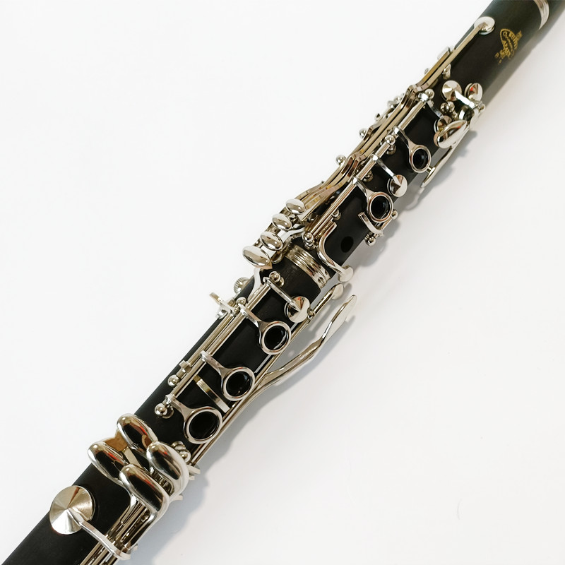 브랜드 뷔페 크램폰 Prodige Bb 클라리넷 17  - Musical Instrument Brands 리뷰 및 가격