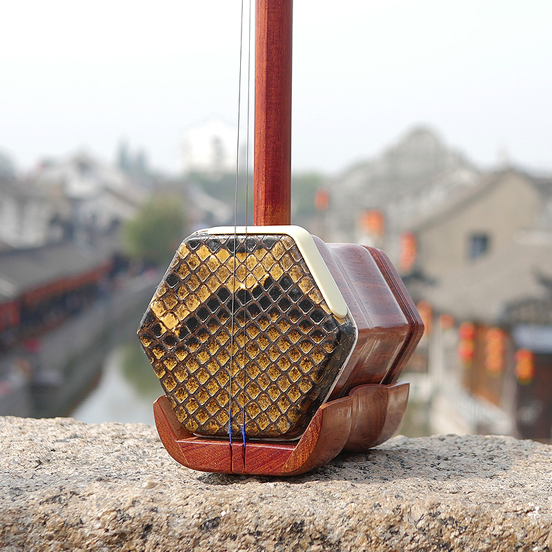 전문 Dunhuang 브랜드 06A Erhu 단단한 나 - Musical Instrument Brands 리뷰 및 가격