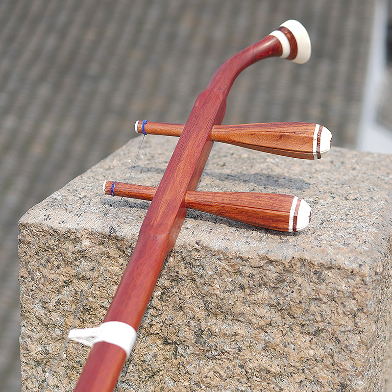 전문 Dunhuang 브랜드 06A Erhu 단단한 나 - Musical Instrument Brands 리뷰 및 가격