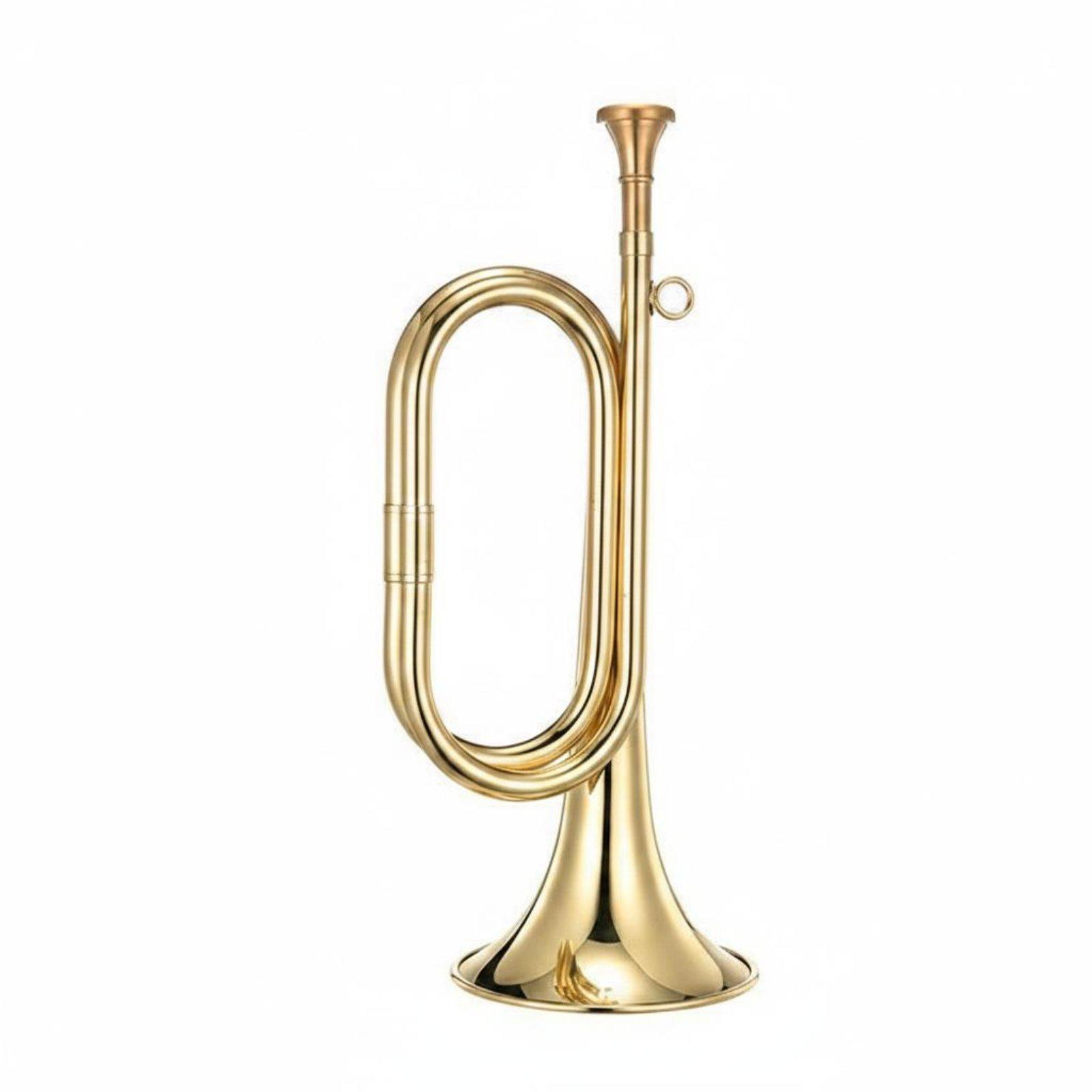 황동 재질의 휴대용 음악 호른, 경보용 호른, 가벼운  - Musical Instrument Bugle 리뷰 및 가격