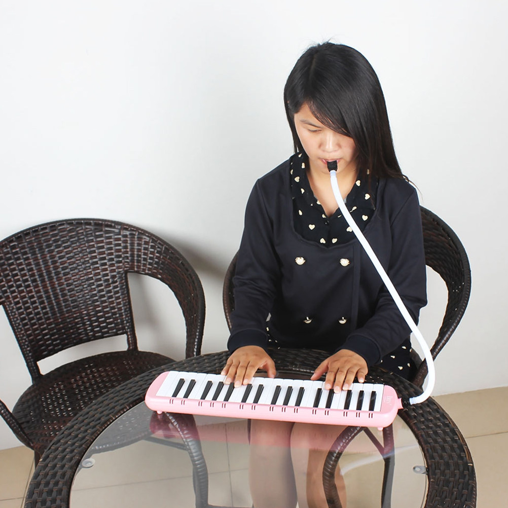 37건반 멜로디카, 초보자를 위한 휴대용 경량 키보드, - Musical Instrument Melodica 리뷰 및 가격